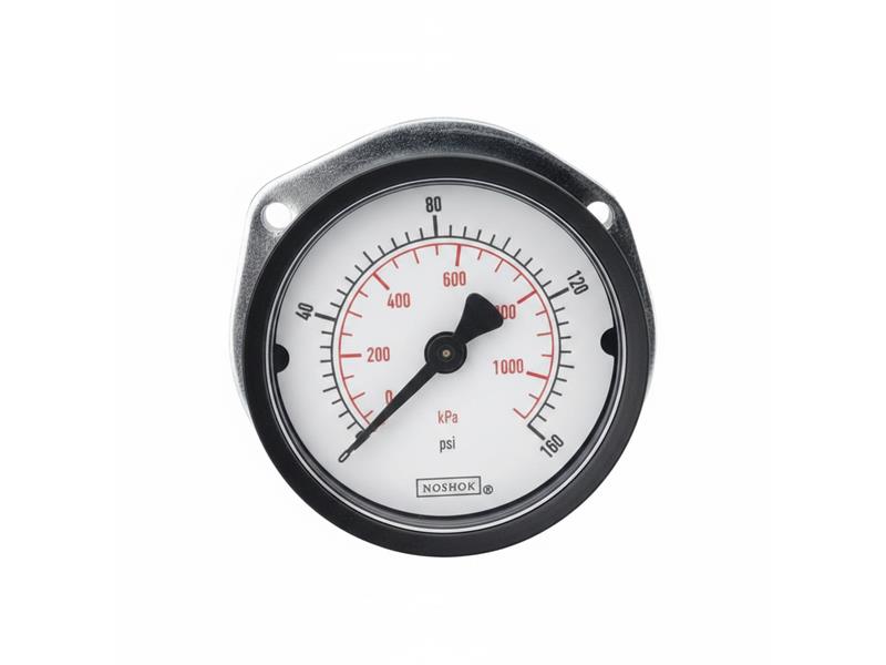 15-110-100-PSI/BAR-CFF-CC by NOSHOK
