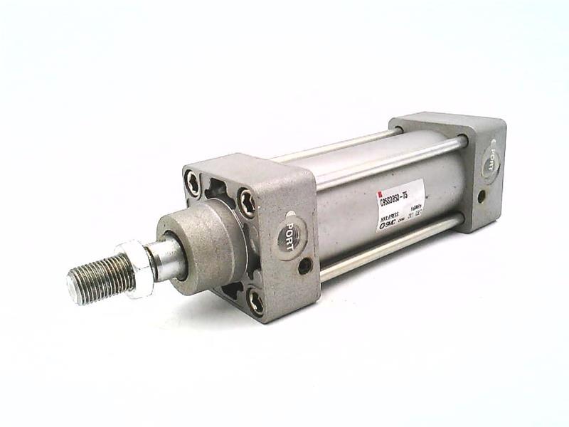 SMC C95SDB50-125-XSE029