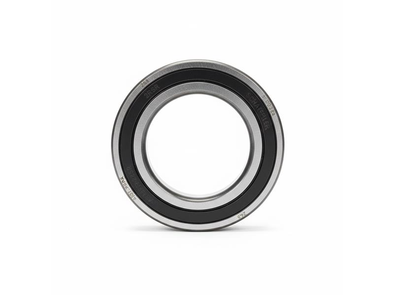 6020-2RSR by SCHAEFFLER GROUP