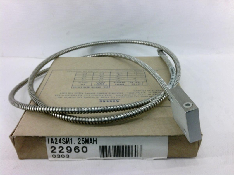 BANNER ENGINEERING IA24SM1.25MAH