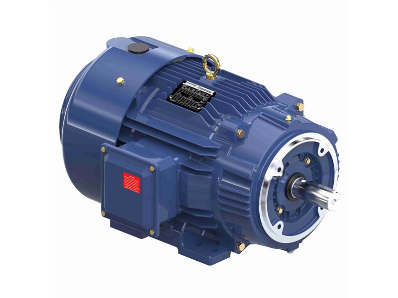 REGAL REXNORD 256THFCD8038