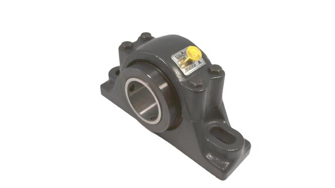 REGAL REXNORD RPB 203-C2