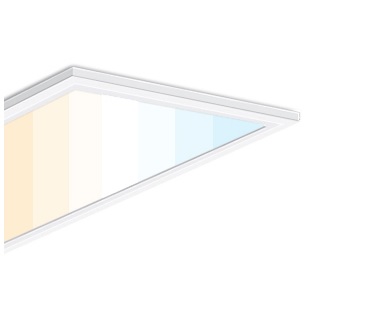 55402 by PREMIUM QUALITY LIGHTING