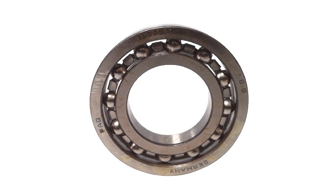 NSK 16005