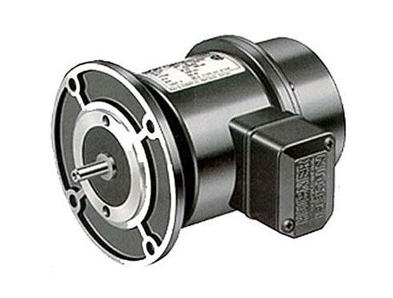 11071028 by BAUMER ELECTRIC