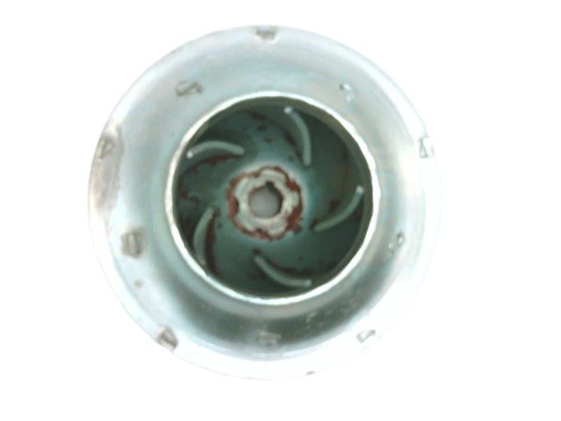 XYLEM 118676