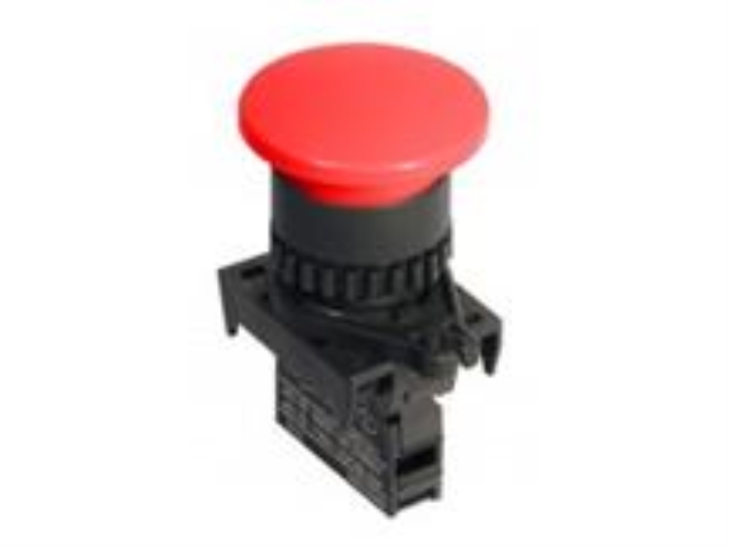 S2BR-P1RB by AUTONICS