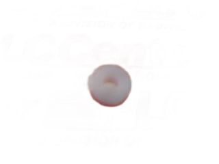 CP4042-2-TEF by SPRAYING SYSTEMS