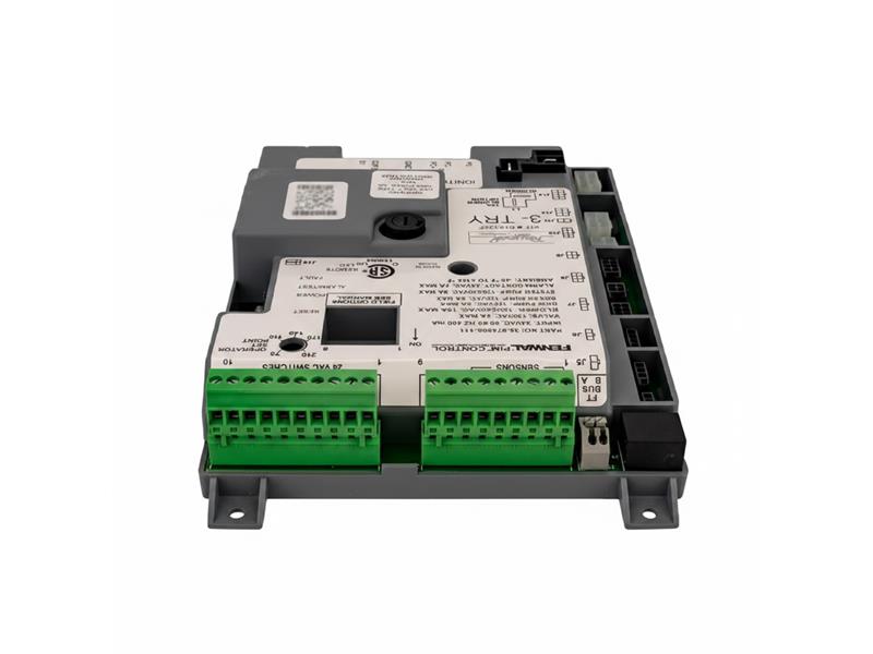 RAYPAK 004817B