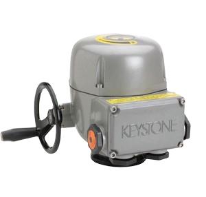 E013-A-H-W5-000 by EMERSON