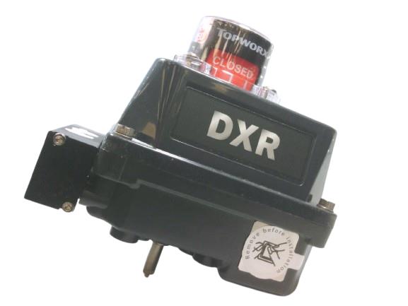 TOPWORX DXR-L2GGNES1A2