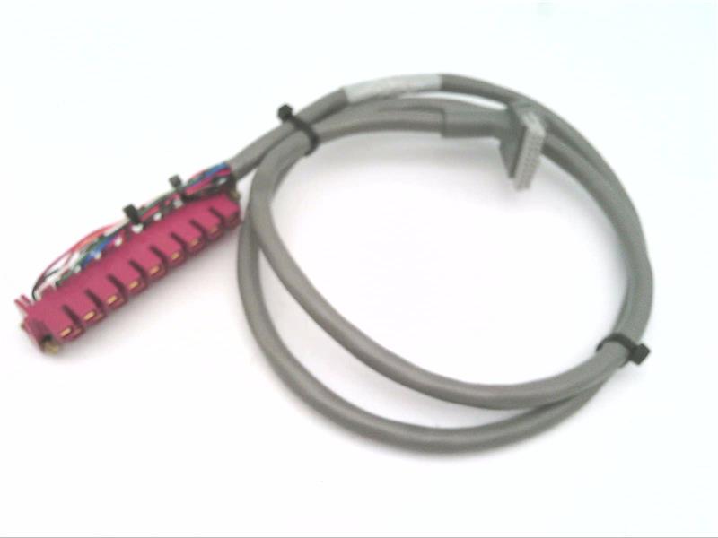 ALLEN BRADLEY 1492-CABLE10C