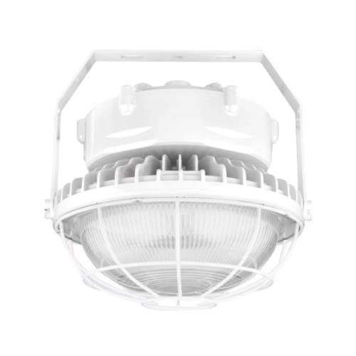 RUGGEDGRADE RGL-HERCULES-R-100W