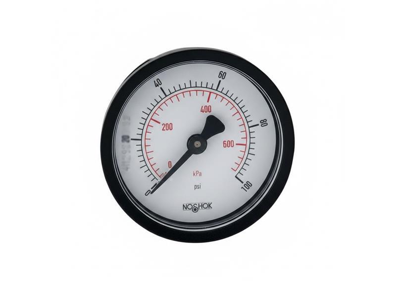 20-110-300-PSI/BAR-BLFF-BP3 by NOSHOK