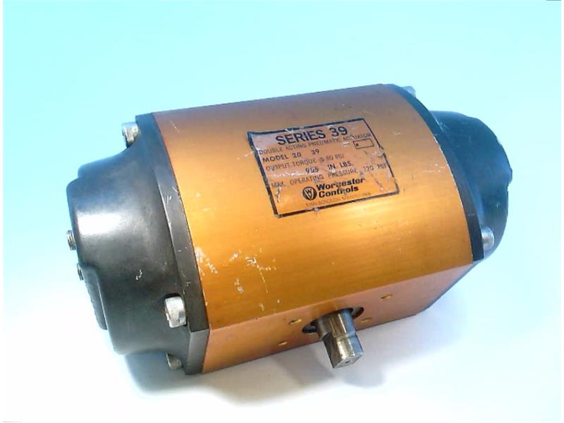 20F39S-N-R by FLOWSERVE