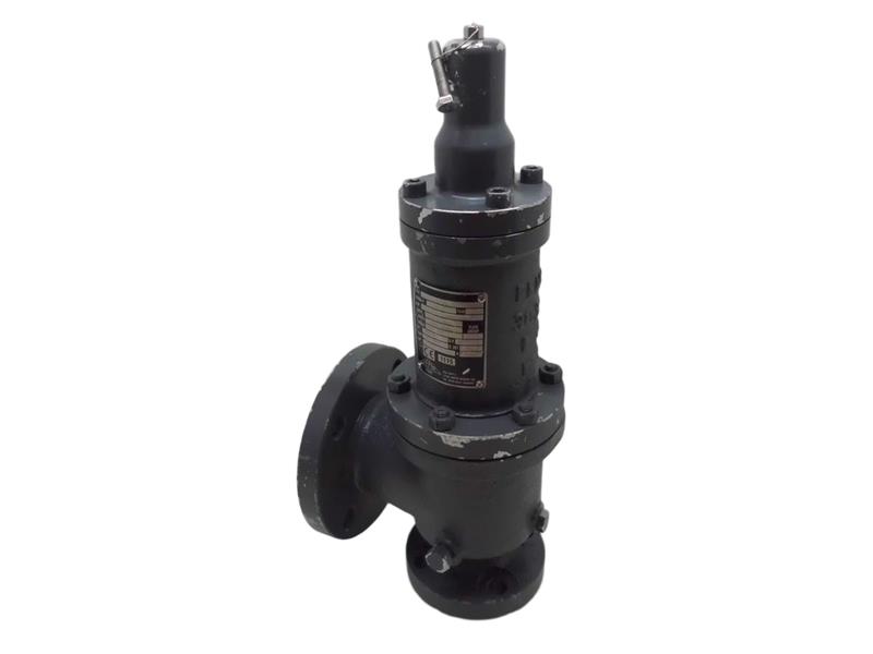 FEMA VALVES 3031-E-CN-001
