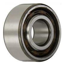 SKF 304SZZC