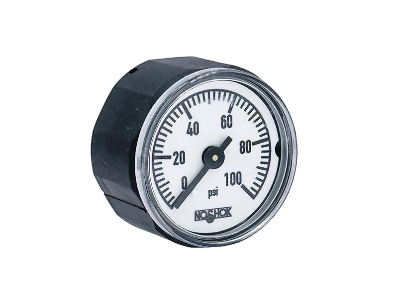 NOSHOK 10-110-100-PSI-R1/8