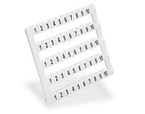 AUTOMATION DIRECT KN-L5-1-10-250