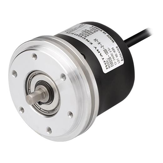 AUTONICS E58SS6-2500-6-L-5