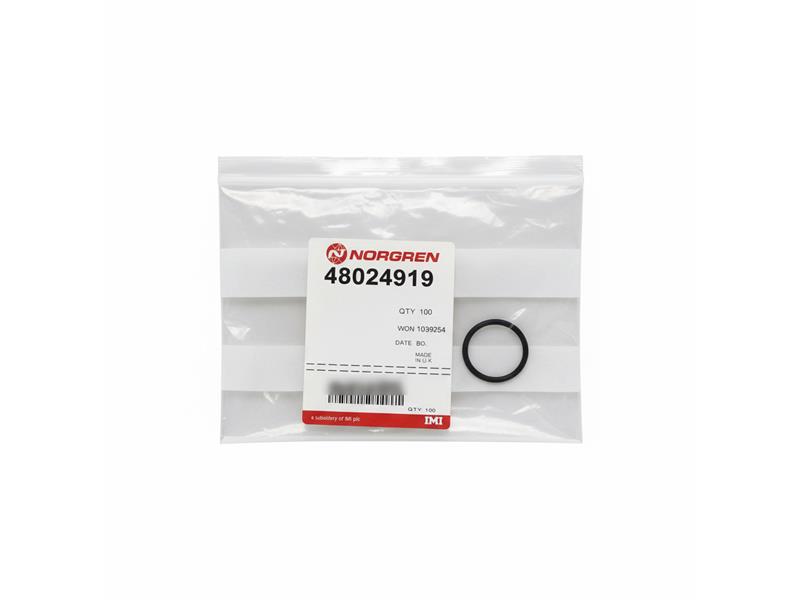 NORGREN 48024919-QTY100