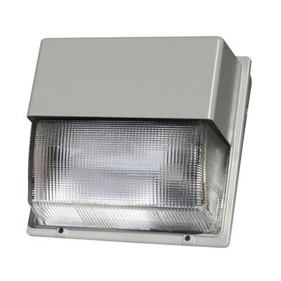 HOLOPHANE W4175PM12SZB