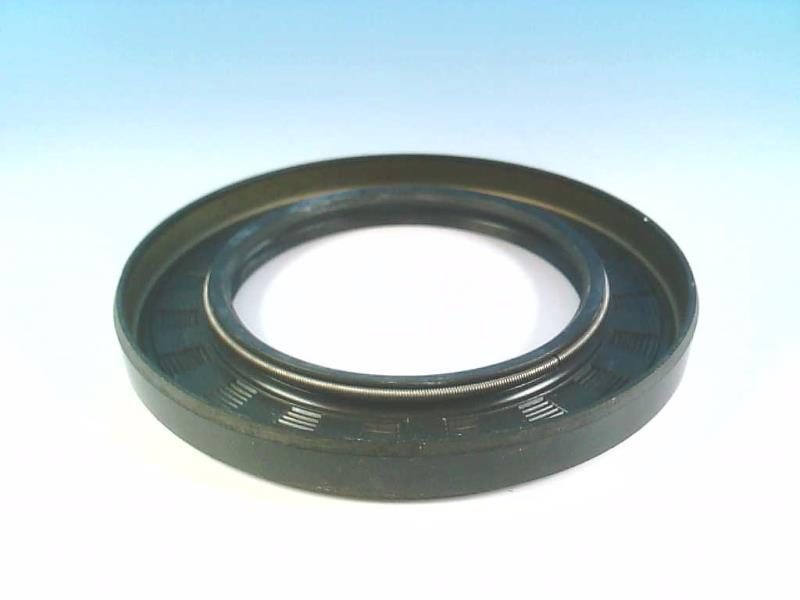 FREUDENBERG 65X100X10TC