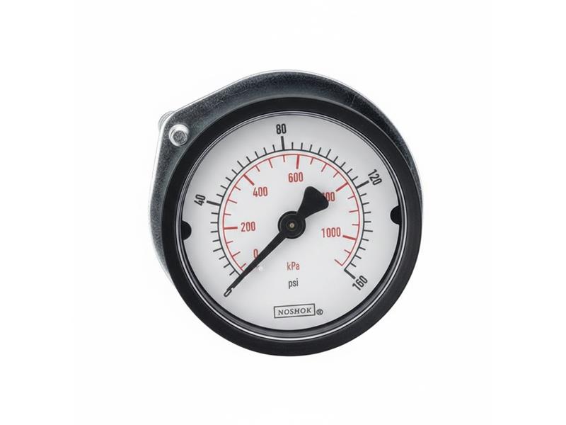 NOSHOK 15-110-60-PSI/BAR-BLFF