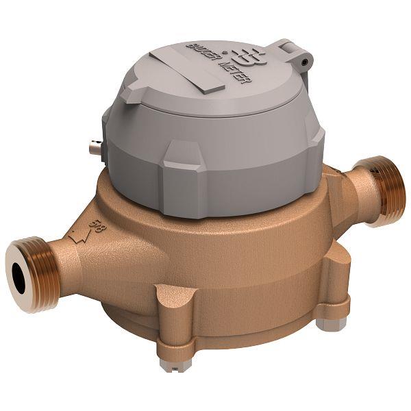 31010724950 by BADGER METER