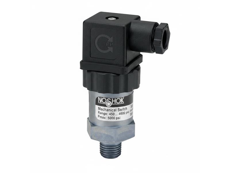 NOSHOK 300H-2-2-145/1750-98-SP