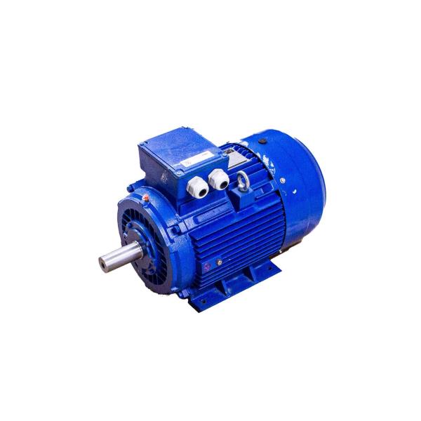 EUROMOTORI 0EG 100L/2