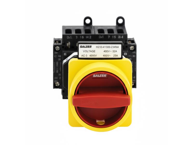 H233-41300-234N4 by SALZER