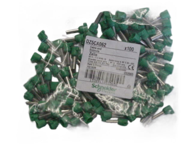 DZ5CA062-100 by SCHNEIDER ELECTRIC