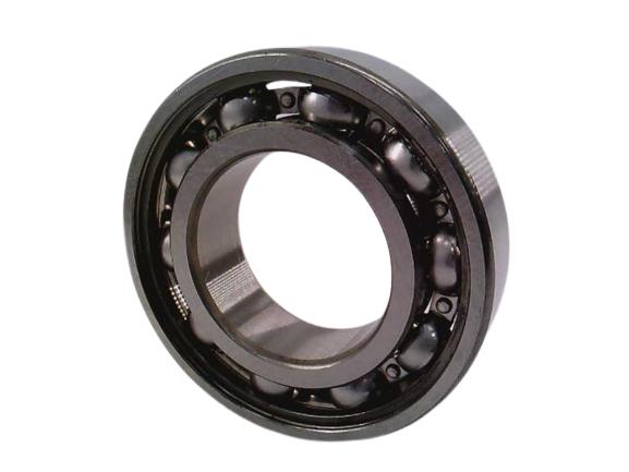 SKF 6005-JEM