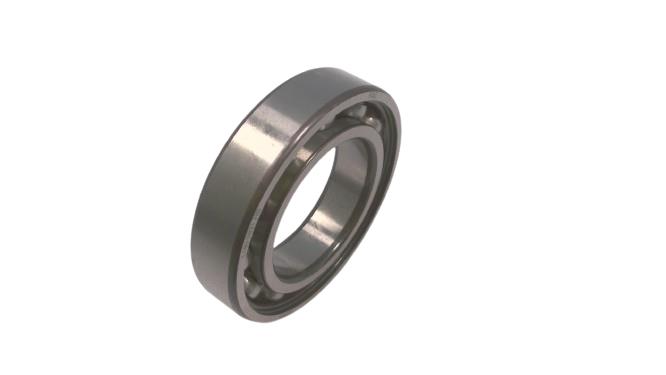 SCHAEFFLER GROUP 6008