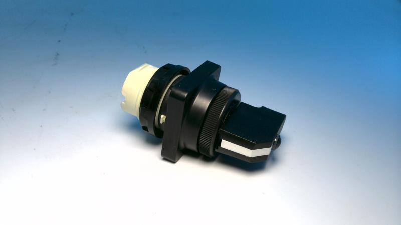 SCHNEIDER ELECTRIC 9001-D1G30S