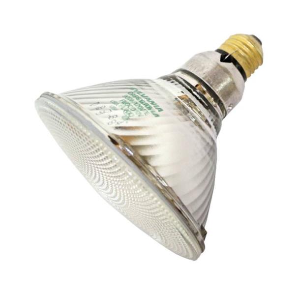 90PAR/CAP/SPL/FL30 120V by GTE
