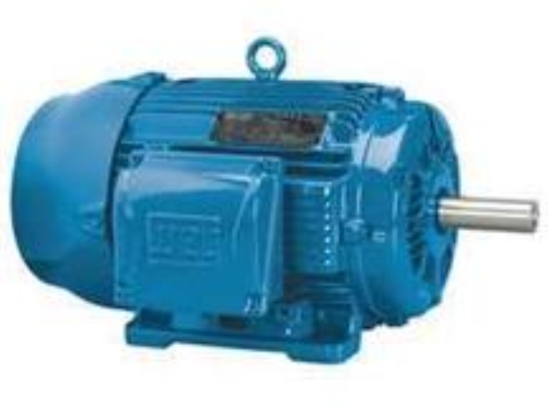 00536ET3E184TC-W22 by WEG