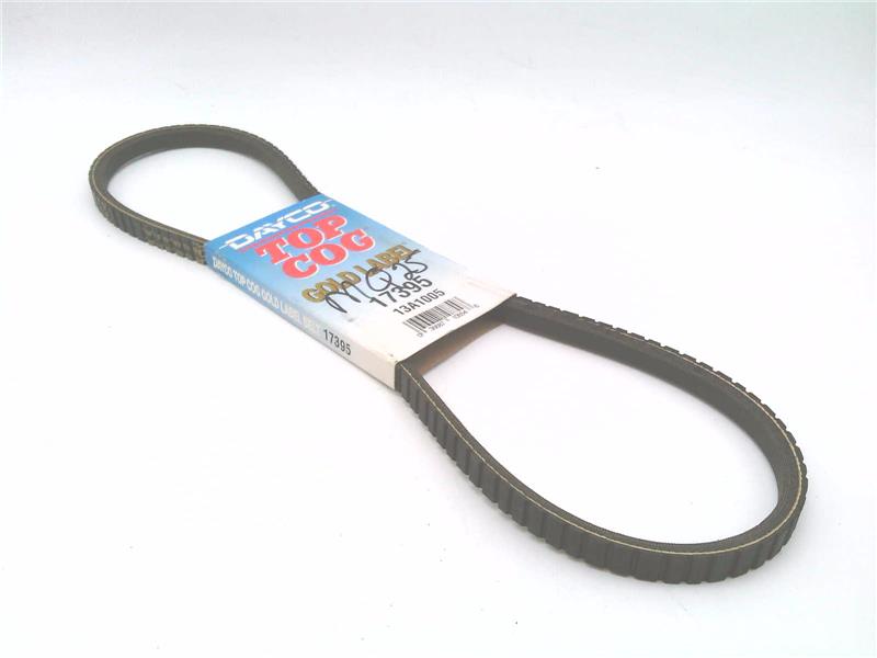 DAYCO 17395
