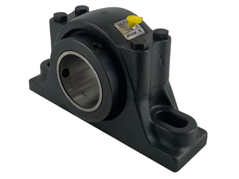 REGAL REXNORD RPB 300-2