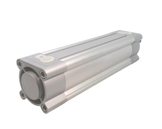 FESTO DSBC-63-190-PPSA-N3