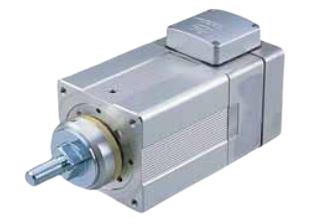 IAI RCS2-SRA7BD-I-100-4-50-T1-M