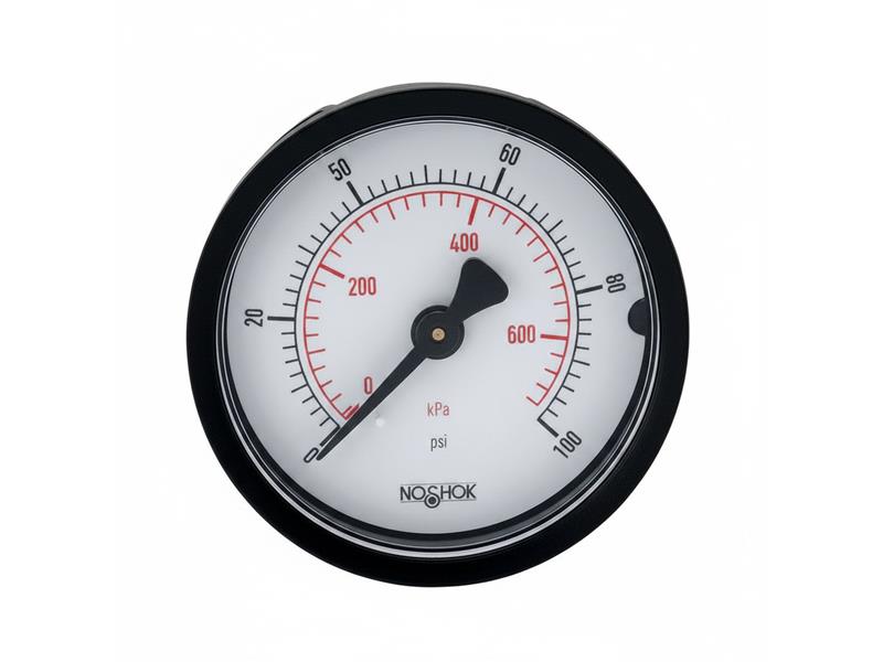 15-110-30-PSI/KG/CM2-CFF by NOSHOK