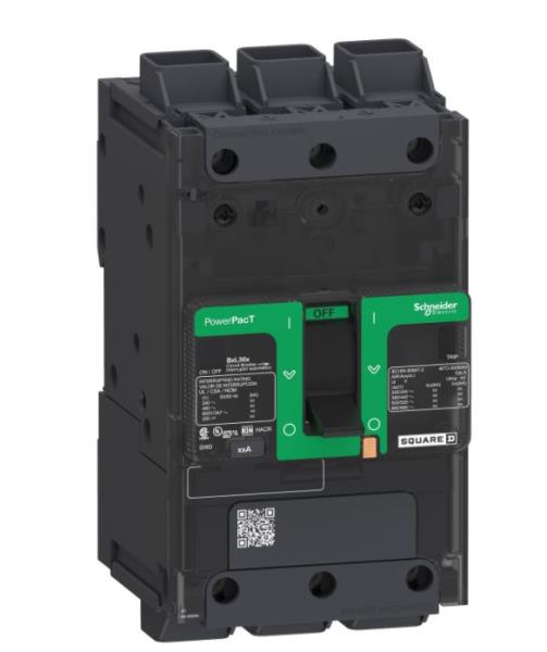 SCHNEIDER ELECTRIC BDL36100
