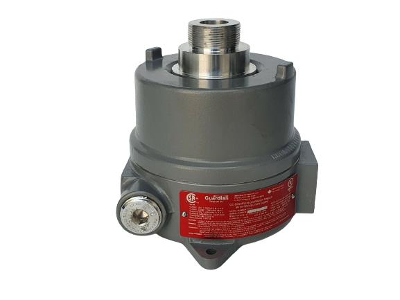 GUARDIAN TELECOM INC CE-20