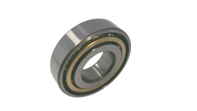 SCHAEFFLER GROUP 7307-B-MP-UA