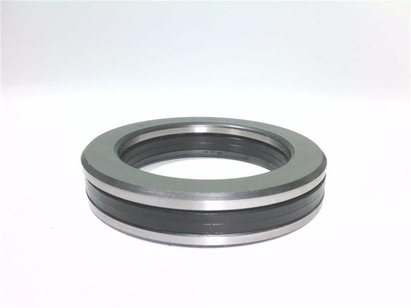 SCHAEFFLER GROUP 81112-TV