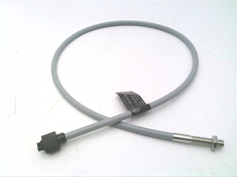 FT-00-M-W-M6/0,6M-E21151 by EFECTOR