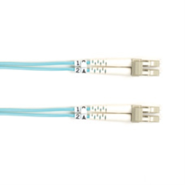 BLACK BOX CORP FO10G-001M-LCLC