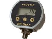 CECOMP ELECTRONICS DPG2000B230FTH2O-D4-M0-30-HA